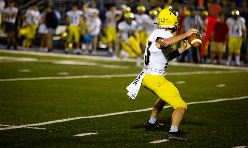 A football player prepares to throw the ball